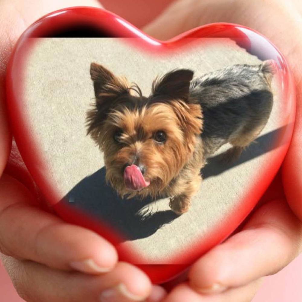 Meet your Posher, Lynda